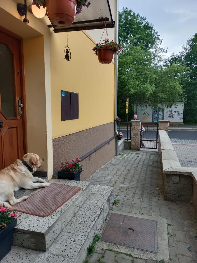 Msprivat Karlovy Vary Exterior foto